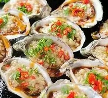 12 Oysters