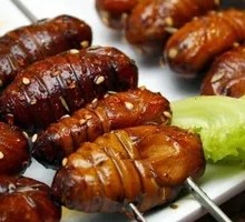 Grilled Silkworm Pupa