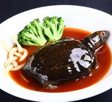 Spicy Softshell Turtle