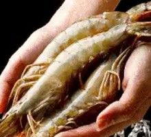 Grilled Shrimp