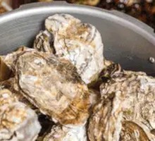 Steamed Oysters