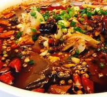Premium Maoxuewang