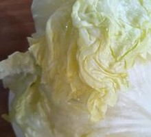 Romaine lettuce