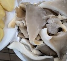 Enoki Mushroom