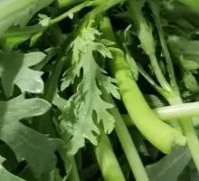 Chinese chrysanthemum greens
