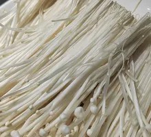 Enoki Mushroom
