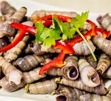 Rope Snail