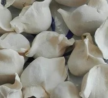 Pork and Fennel Pie