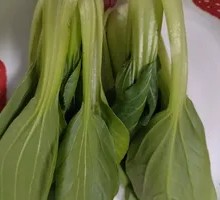 Chinese cabbage