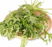 Chinese chrysanthemum greens
