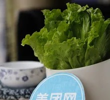 Lettuce