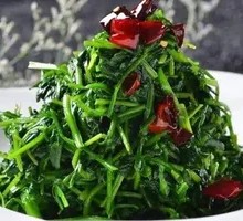 Premium Wild Vegetables