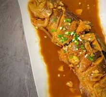Rainbow Trout