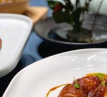 Spinning Ribbon Fish