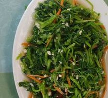 Mixed Wild Greens Salad