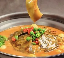 Braised Softshell Turtle