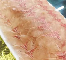 Rainbow Trout Sashimi