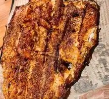 Rainbow Trout