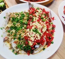 Guanting Carp