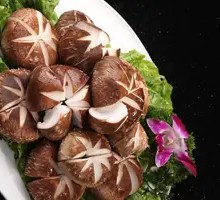 Shiitake Mushroom