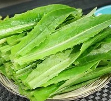 Oilseed lettuce