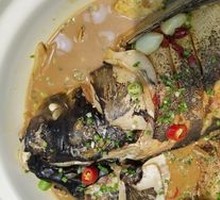 Wild Fat Fish Head