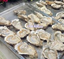 Oyster