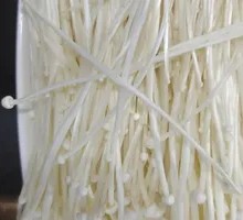 Enoki Mushroom