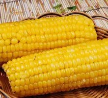 Corn Sausage