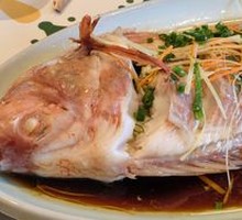 Steamed Rainbow Sea Bream