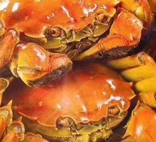 Yangcheng Lake Crab 388
