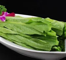 Oilseed lettuce
