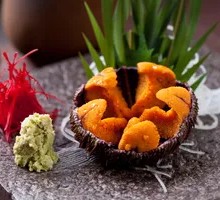 Live Sea Urchin Sashimi