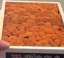 Miyazaki Sea Urchin