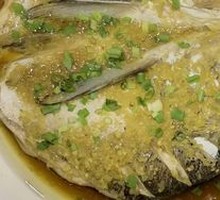 Fish Head Temptation