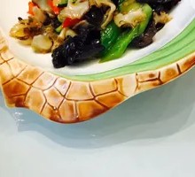 Surfing Live Sea Cucumber