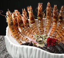 Extra Large Tiger Prawn