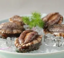 Deep-Sea Abalone