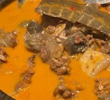 Signature Hanshou Softshell Turtle