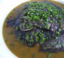 Softshell Turtle Collar