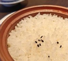 Seedling Rice