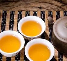 Phoenix Single Shoot