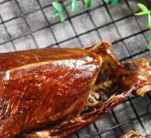 Popular Burnt Pigeon