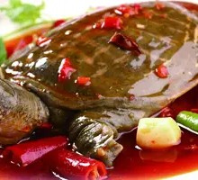 Spicy Softshell Turtle
