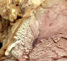 Five-Spice Braised Beef