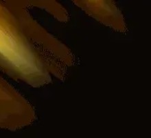 Braised Taihu White Fish with Chicken Broth