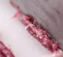 Hand-Cut Fresh Lamb Tenderloin