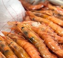 Argentine Red Shrimp