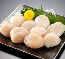Scallop