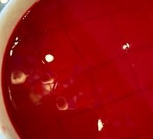 Duck Blood